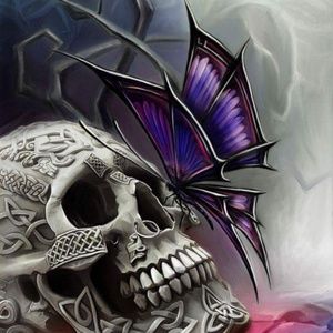 Meet your Posher, Dawn